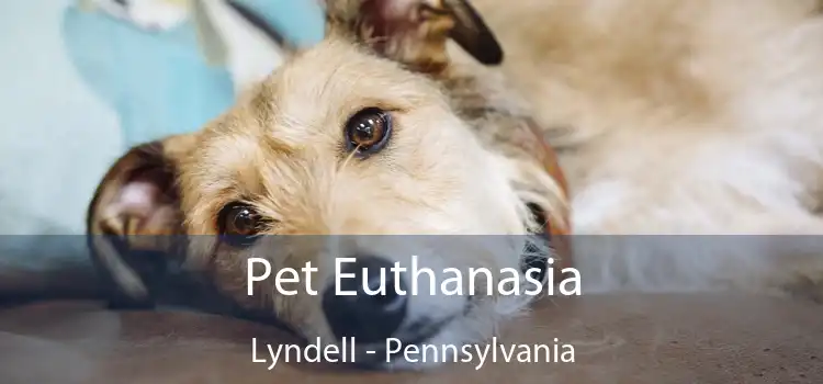 Pet Euthanasia Lyndell - Pennsylvania