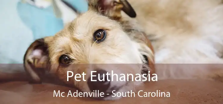 Pet Euthanasia Mc Adenville - South Carolina