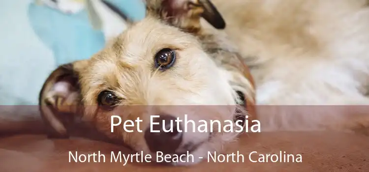 Pet Euthanasia North Myrtle Beach - North Carolina