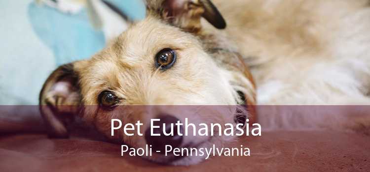 Pet Euthanasia Paoli - Pennsylvania