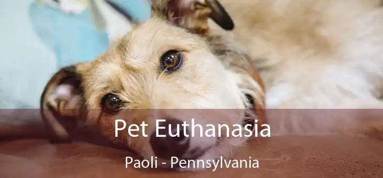 Pet Euthanasia Paoli - Pennsylvania