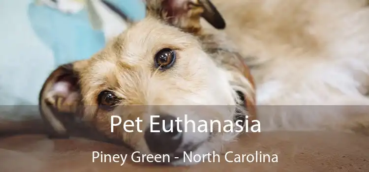 Pet Euthanasia Piney Green - North Carolina