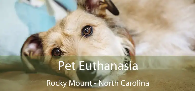 Pet Euthanasia Rocky Mount - North Carolina