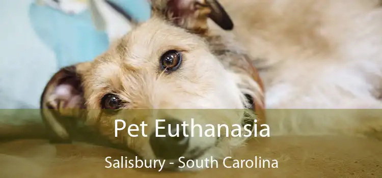 Pet Euthanasia Salisbury - South Carolina