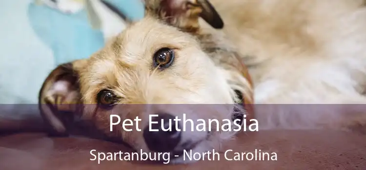 Pet Euthanasia Spartanburg - North Carolina