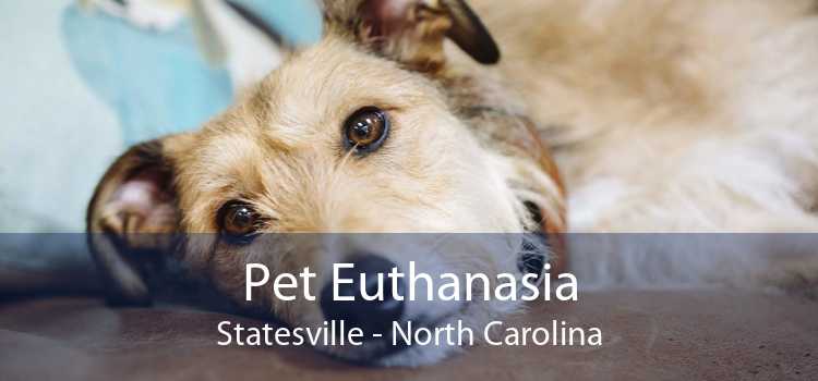 Pet Euthanasia Statesville - North Carolina