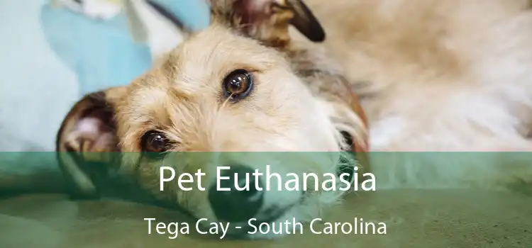 Pet Euthanasia Tega Cay - South Carolina