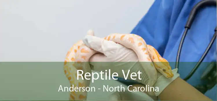 Reptile Vet Anderson - North Carolina