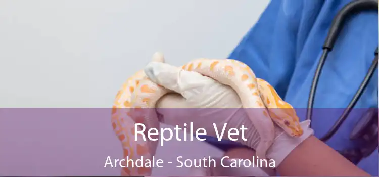 Reptile Vet Archdale - South Carolina