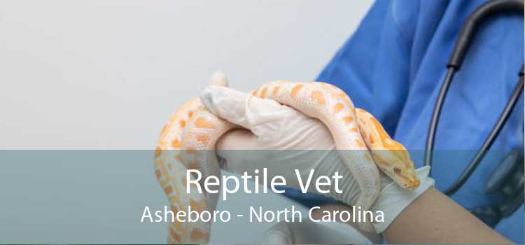 Reptile Vet Asheboro - North Carolina