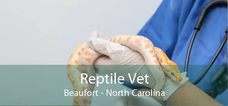 Reptile Vet Beaufort - North Carolina