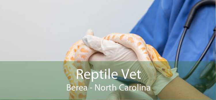 Reptile Vet Berea - North Carolina