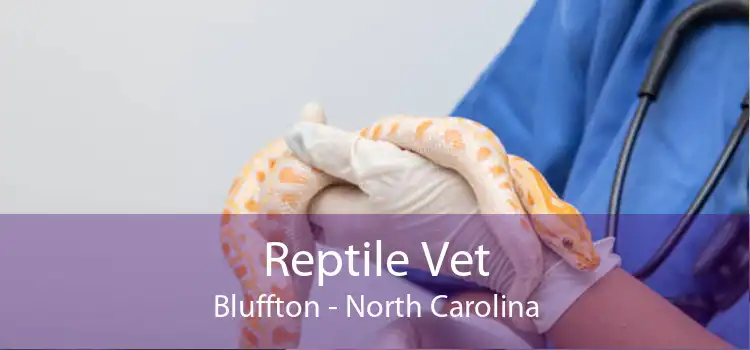 Reptile Vet Bluffton - North Carolina