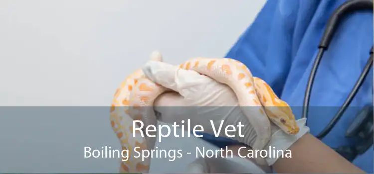 Reptile Vet Boiling Springs - North Carolina
