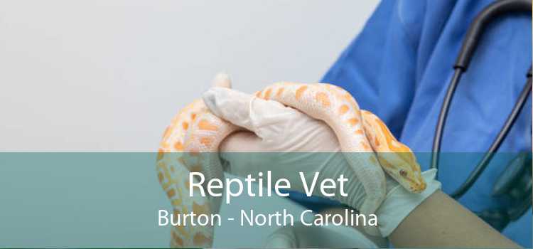Reptile Vet Burton - North Carolina