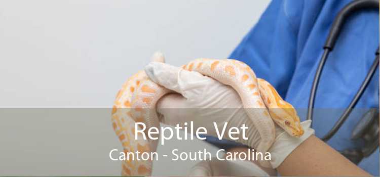 Reptile Vet Canton - South Carolina