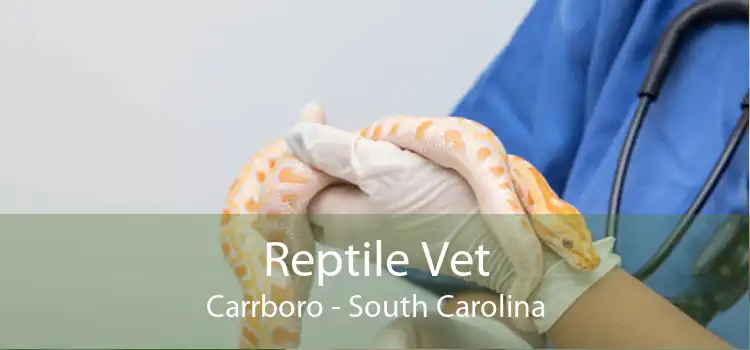 Reptile Vet Carrboro - South Carolina