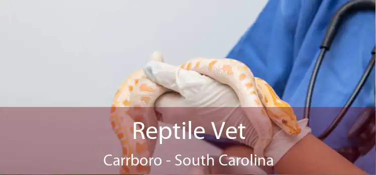 Reptile Vet Carrboro - South Carolina