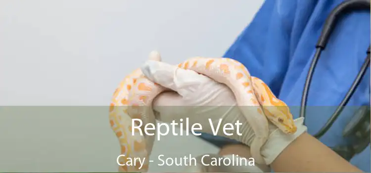 Reptile Vet Cary - South Carolina