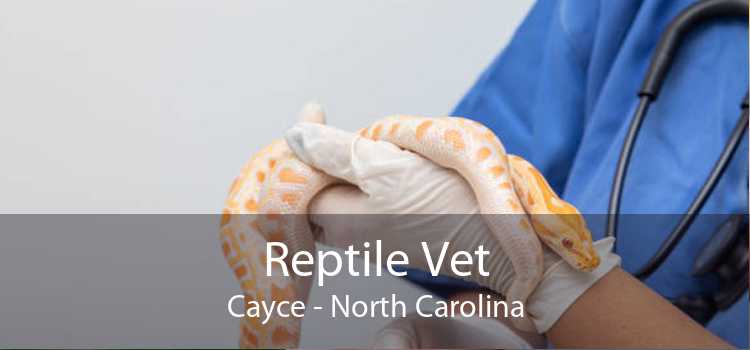 Reptile Vet Cayce - North Carolina