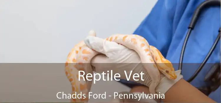 Reptile Vet Chadds Ford - Pennsylvania