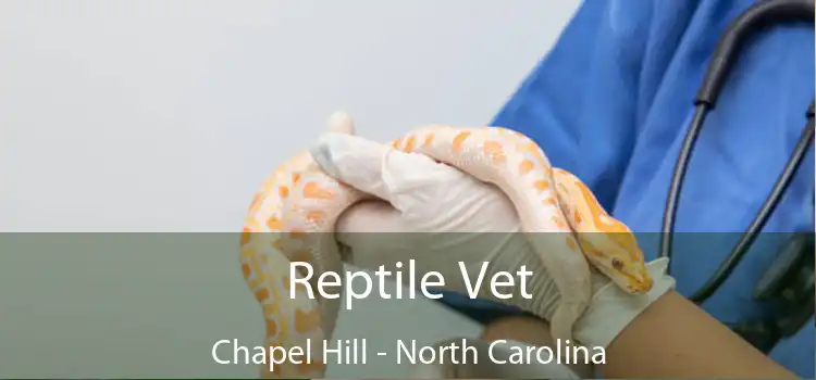 Reptile Vet Chapel Hill - North Carolina