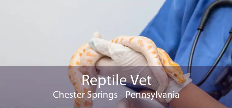 Reptile Vet Chester Springs - Pennsylvania