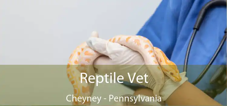 Reptile Vet Cheyney - Pennsylvania