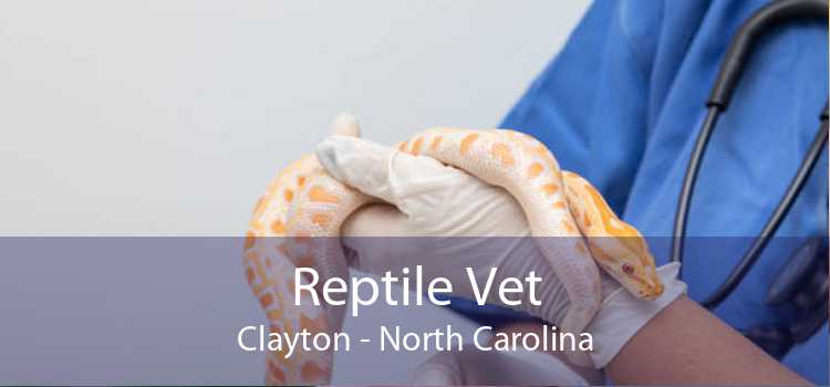 Reptile Vet Clayton - North Carolina