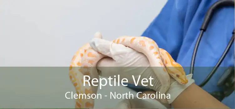 Reptile Vet Clemson - North Carolina
