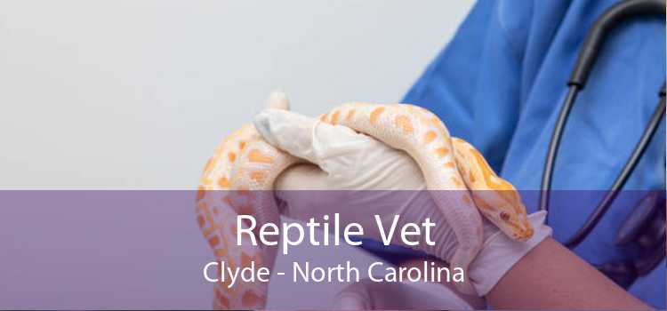Reptile Vet Clyde - North Carolina
