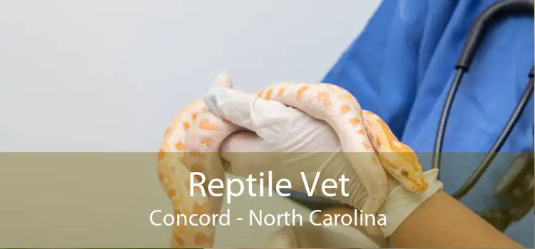 Reptile Vet Concord - North Carolina