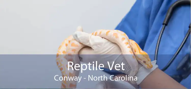 Reptile Vet Conway - North Carolina