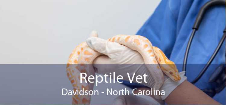 Reptile Vet Davidson - North Carolina