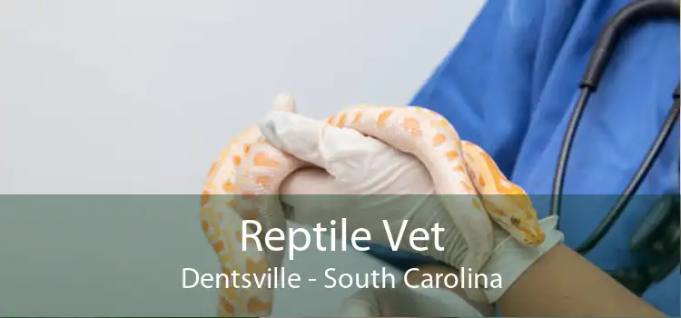 Reptile Vet Dentsville - South Carolina