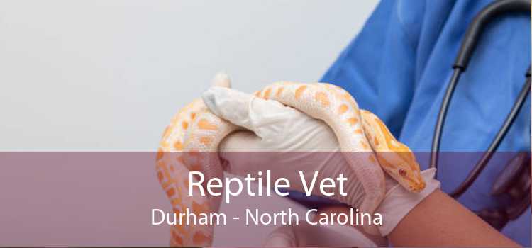 Reptile Vet Durham - North Carolina