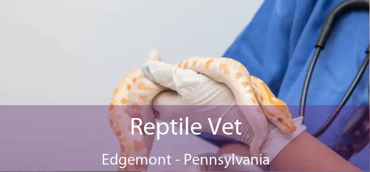 Reptile Vet Edgemont - Pennsylvania
