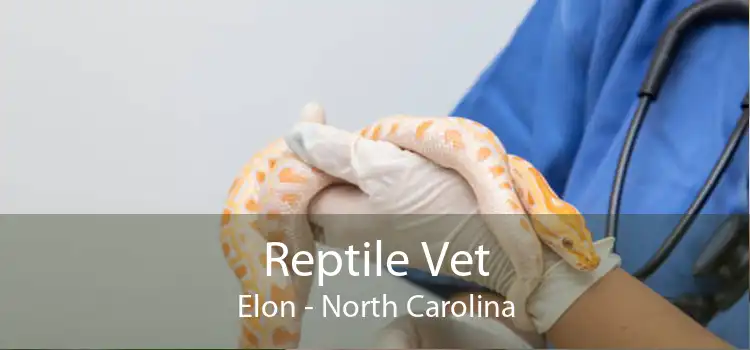 Reptile Vet Elon - North Carolina