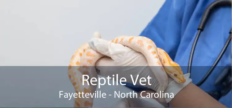 Reptile Vet Fayetteville - North Carolina
