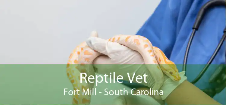 Reptile Vet Fort Mill - South Carolina