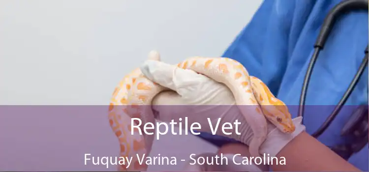 Reptile Vet Fuquay Varina - South Carolina