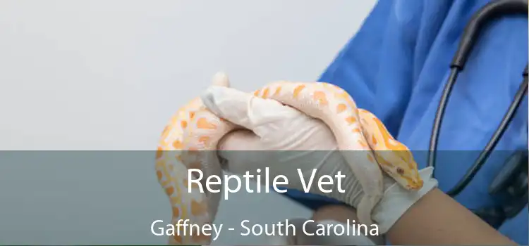 Reptile Vet Gaffney - South Carolina