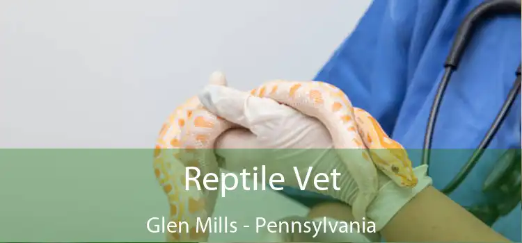 Reptile Vet Glen Mills - Pennsylvania