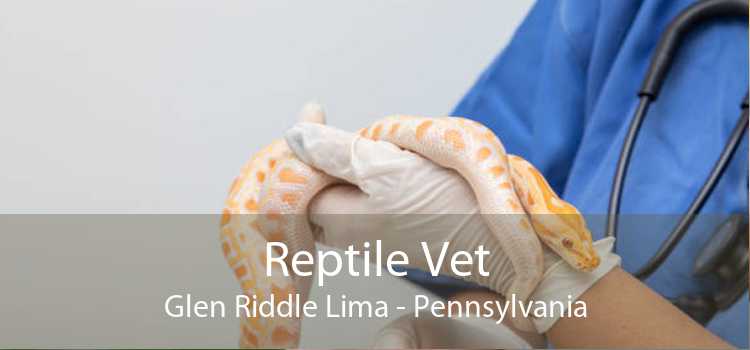 Reptile Vet Glen Riddle Lima - Pennsylvania