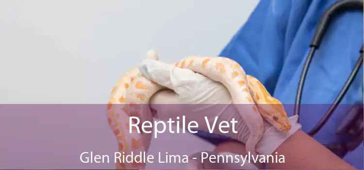 Reptile Vet Glen Riddle Lima - Pennsylvania