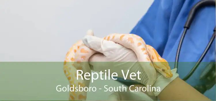 Reptile Vet Goldsboro - South Carolina