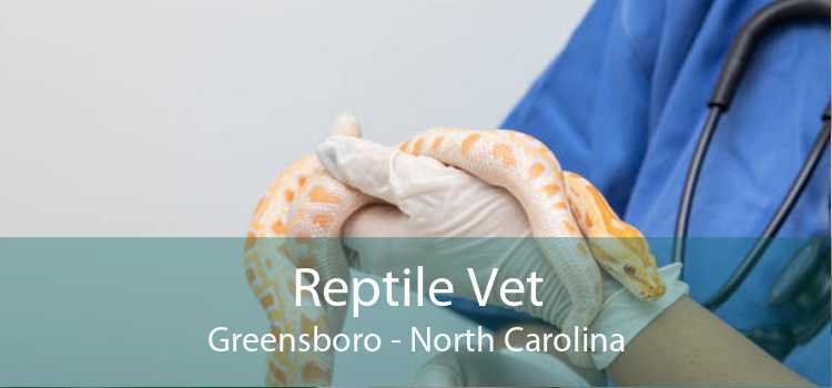 Reptile Vet Greensboro - North Carolina
