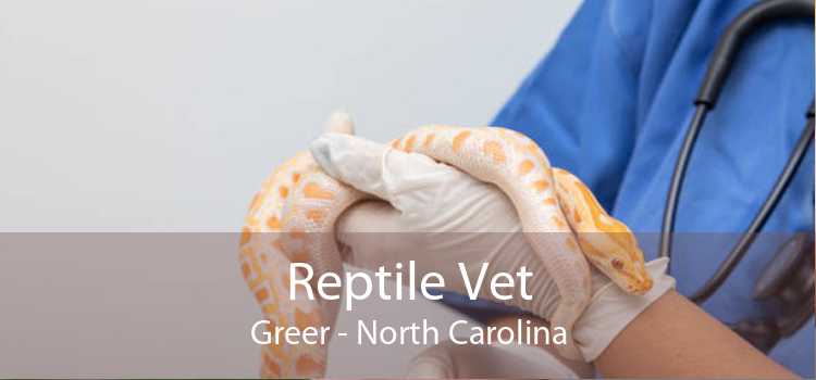 Reptile Vet Greer - North Carolina