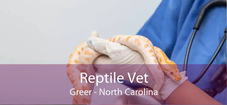 Reptile Vet Greer - North Carolina