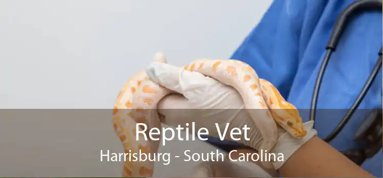 Reptile Vet Harrisburg - South Carolina
